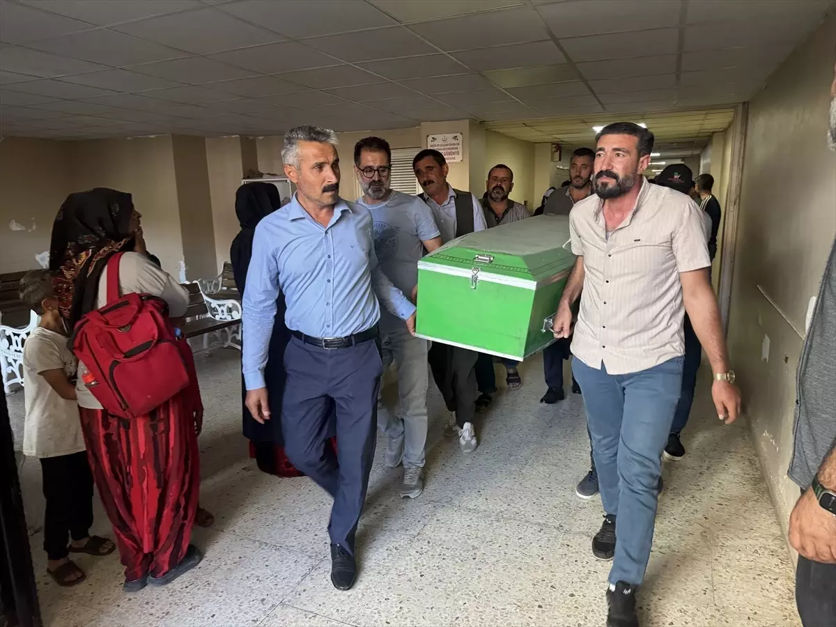 Şanlıurfa'da 5 çocuğun hayatını kaybettiği trafik kazasında tutuklama