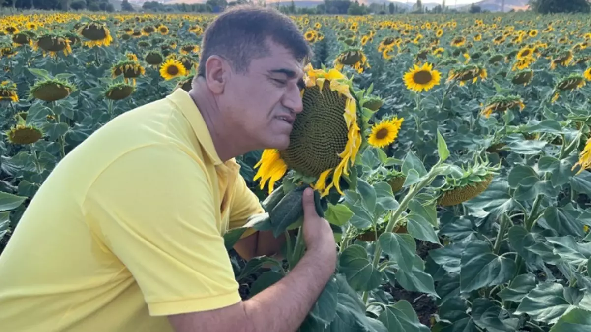 Türkücü Aydın Aydın, fazla ücret talep eden mankenlere tepki göstererek klibinde ayçiçekleri oynattı