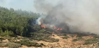 Antakya'da Orman Yangınına Havadan ve Karadan Müdahale Başlatıldı