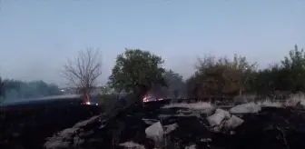 Malatya'da çıkan ot ve bahçe yangınları söndürüldü