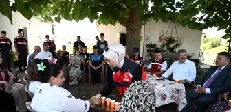 Osmaniye'de Kapalı Alanda Yetiştirilen Güller Hasat Edildi