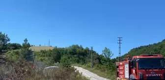 Sinop'un Türkeli ilçesinde çıkan orman yangını söndürüldü