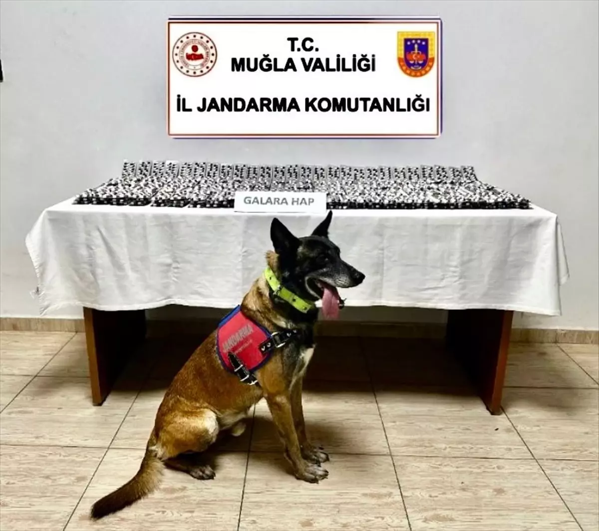 Bodrum'da Uyuşturucu Operasyonu: 1 Kişi Gözaltına Alındı