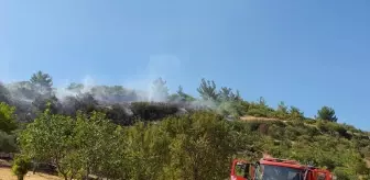 Manisa'da çıkan yangında 3 hektar tarım arazisi zarar gördü