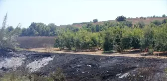 Antalya'da sazlık alanda başlayan yangın kontrol altına alındı