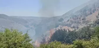 Diyarbakır'da Ormanda Çıkan Yangın Üzüm Bağına Sıçradı