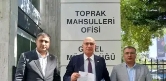 CHP Milletvekili Mahmut Tanal, fıstık için taban fiyat uygulaması istedi