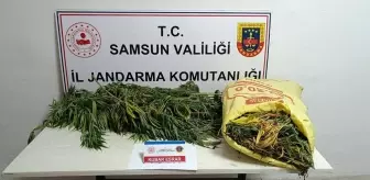 Samsun'da 12 Kilogram Esrar Ele Geçirildi