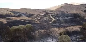 Şarkışla'da çıkan yangında 10 hektarlık alan zarar gördü