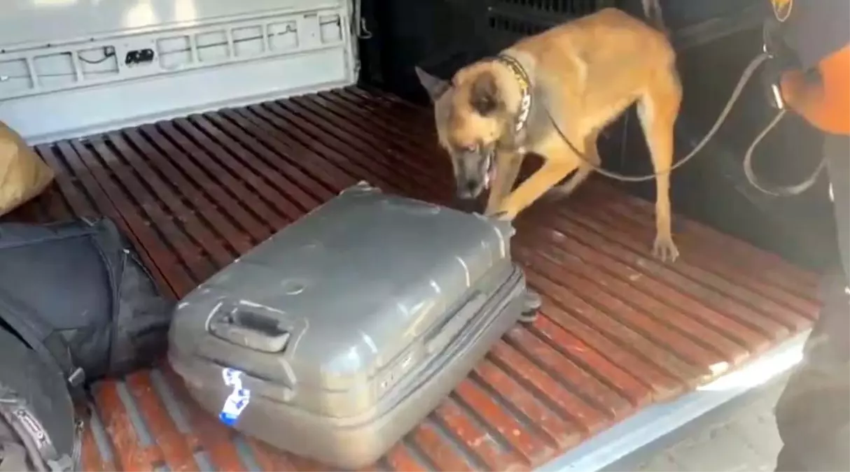 2 yaşındaki narkotik köpek yolcu otobüsünde metamfetamin buldu