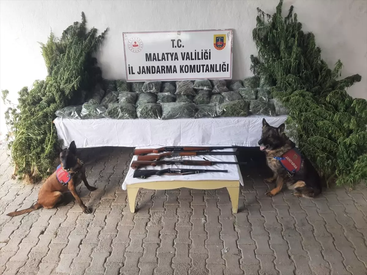 Malatya'da 36 Kilogram Uyuşturucu ve 52 Kök Kenevir Ele Geçirildi