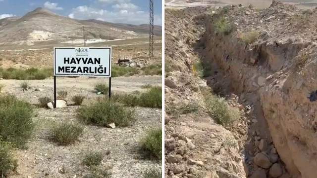 It was claimed that dogs were buried collectively in Niğde, but the truth turned out to be completely different.
