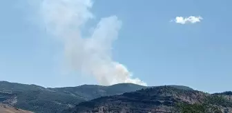 Tunceli'de Sarp Bir Alanda Orman Yangını