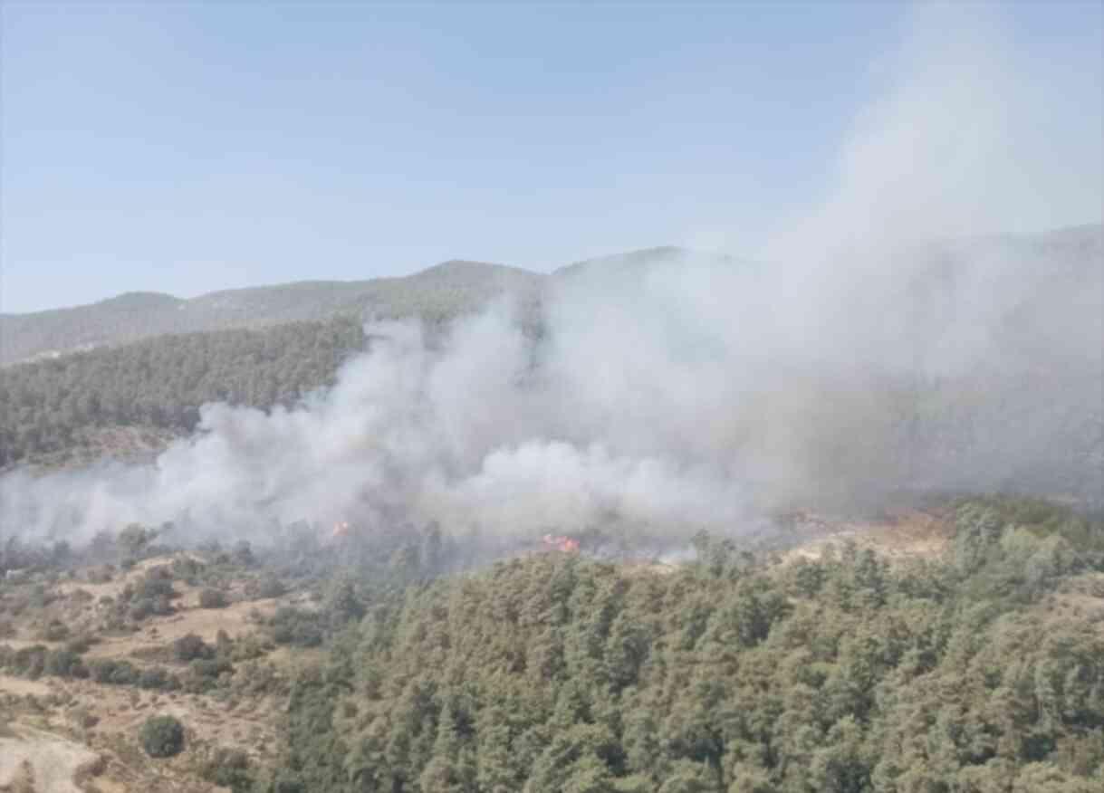 Aydın'da ormanlık alanda başlayan yangın yerleşim yerlerine ulaştı