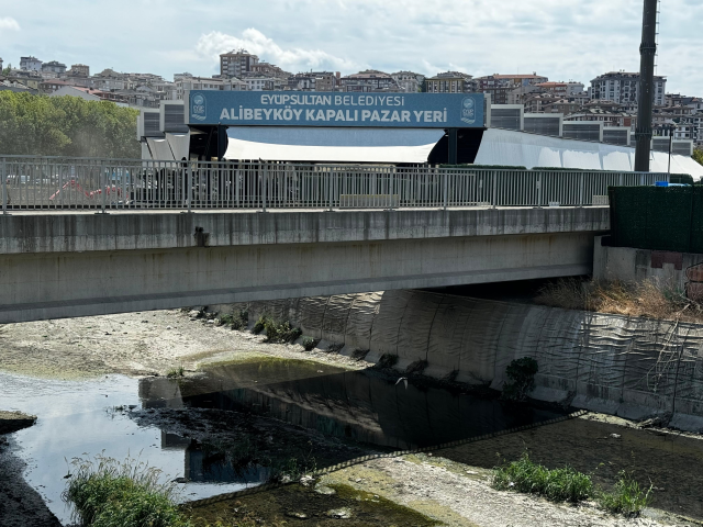 Hem vatandaş hem de esnaf isyanda! Alibeyköy pazarında kokudan durulmuyor