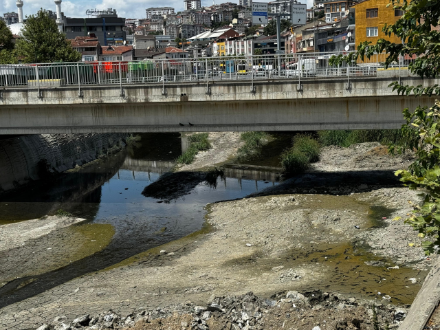 Hem vatandaş hem de esnaf isyanda! Alibeyköy pazarında kokudan durulmuyor