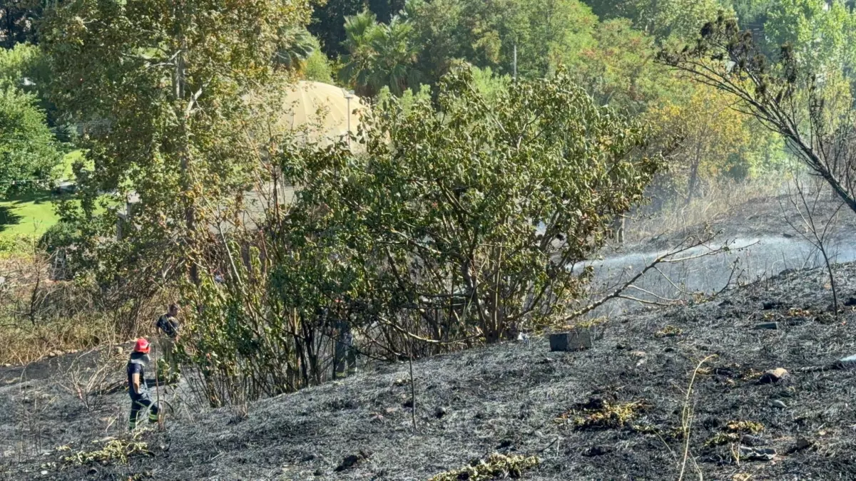 Avcılar'da Otluk Alanda Çıkan Yangın Kontrol Altına Alındı