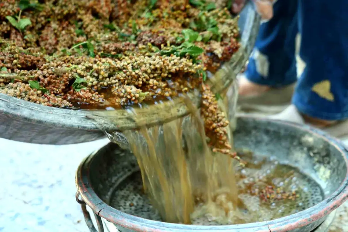 Kahramanmaraş'ta Sumak Ekşisi Hasadı Başladı