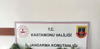 Kastamonu'da 132 Kök Kenevir Ele Geçirildi