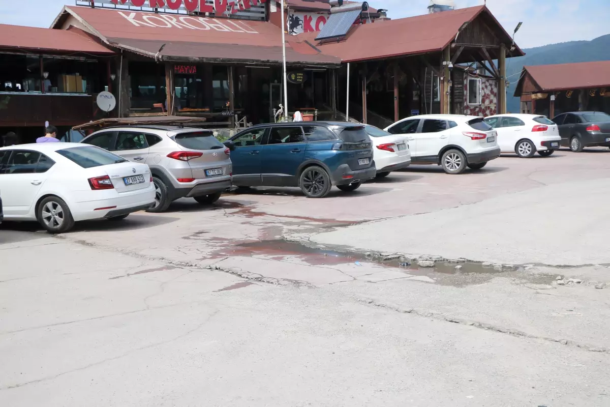 Bolu Dağı Tüneli'nin kapanması et lokantalarını sevindirdi