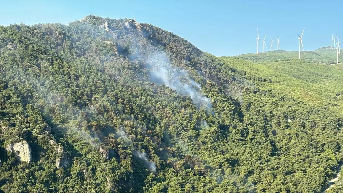 Aydın'da Orman Yangını Kontrol Altına Alındı