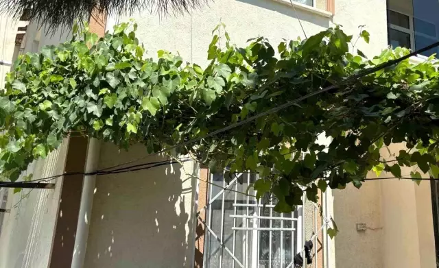 Balkondan düşen bebeğin mucize kurtuluşu Balkondan düşen bebeğin mucize kurtuluşu