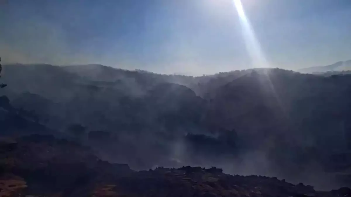 Bingöl'de orman yangını: Çok sayıda kişi tahliye edildi