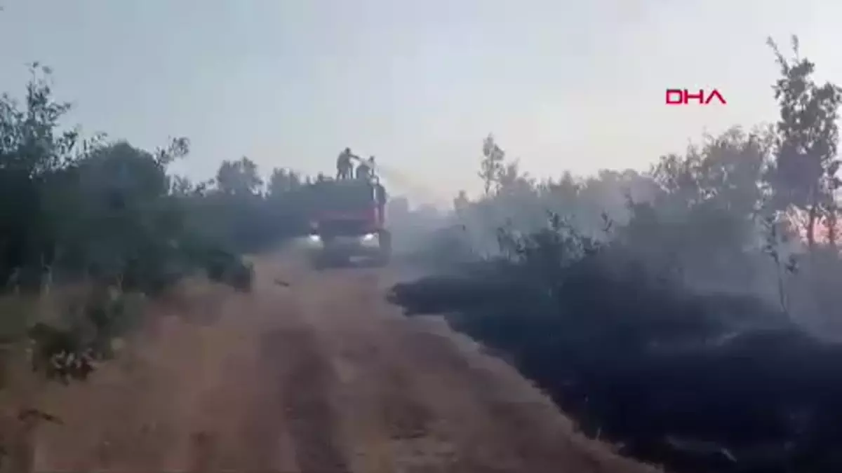 Bingöl'de Orman Yangını Kontrol Altına Alındı