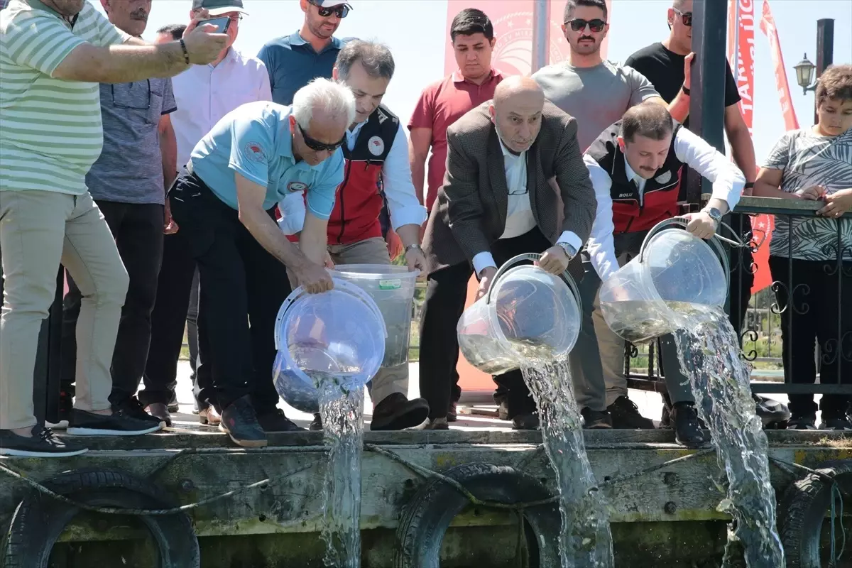 Yeniçağa Gölü'ne 50 Bin Sazan Balığı Yavrusu Salındı