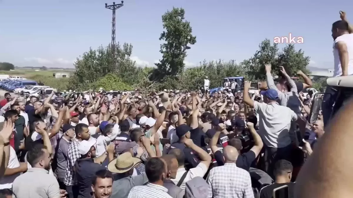 Bursa Valisi Mahmut Demirtaş, Salçalık Domateslerin Taahhüt Fiyatından Alınacağını Açıkladı