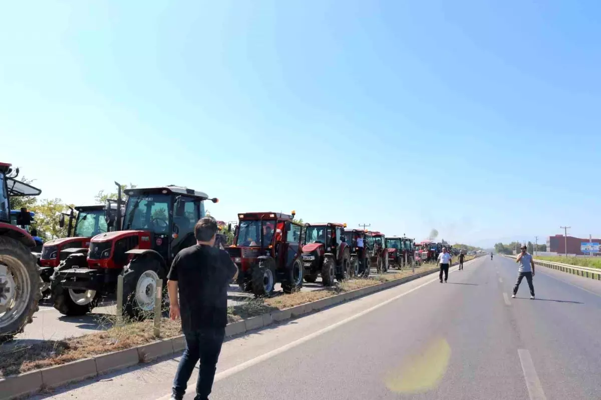 Bursa Valisi, Tarım Kredi Kooperatifi ile salçalık domates alımı yapacak