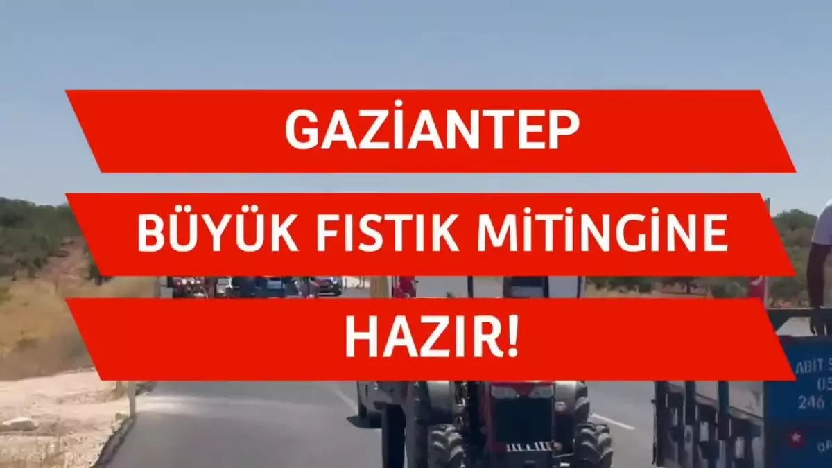 CHP Gaziantep'te Fıstık Mitingi Düzenleyecek