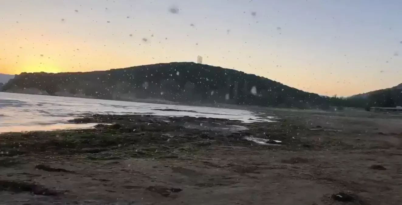 Eğirdir Gölü'nde Sinek İstilası: Kuraklık ve Kirlilik Tehdidi