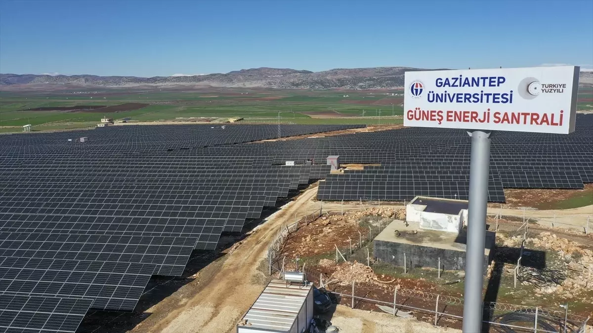 GAÜN Güneş Enerjisi Santralinden 80 Milyon Lira Gelir Elde Etti