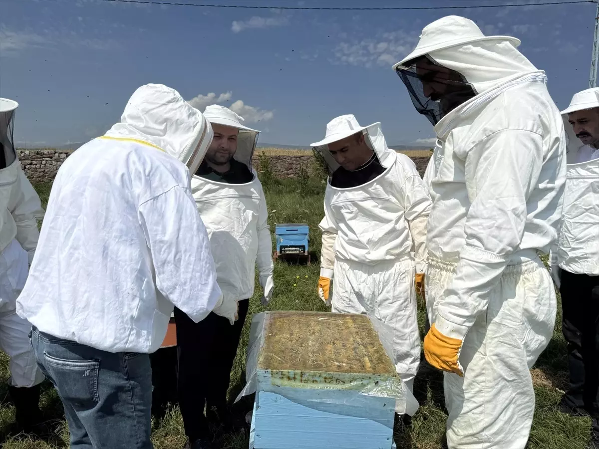 Ardahan Çiçek Balı Hasat Ediliyor