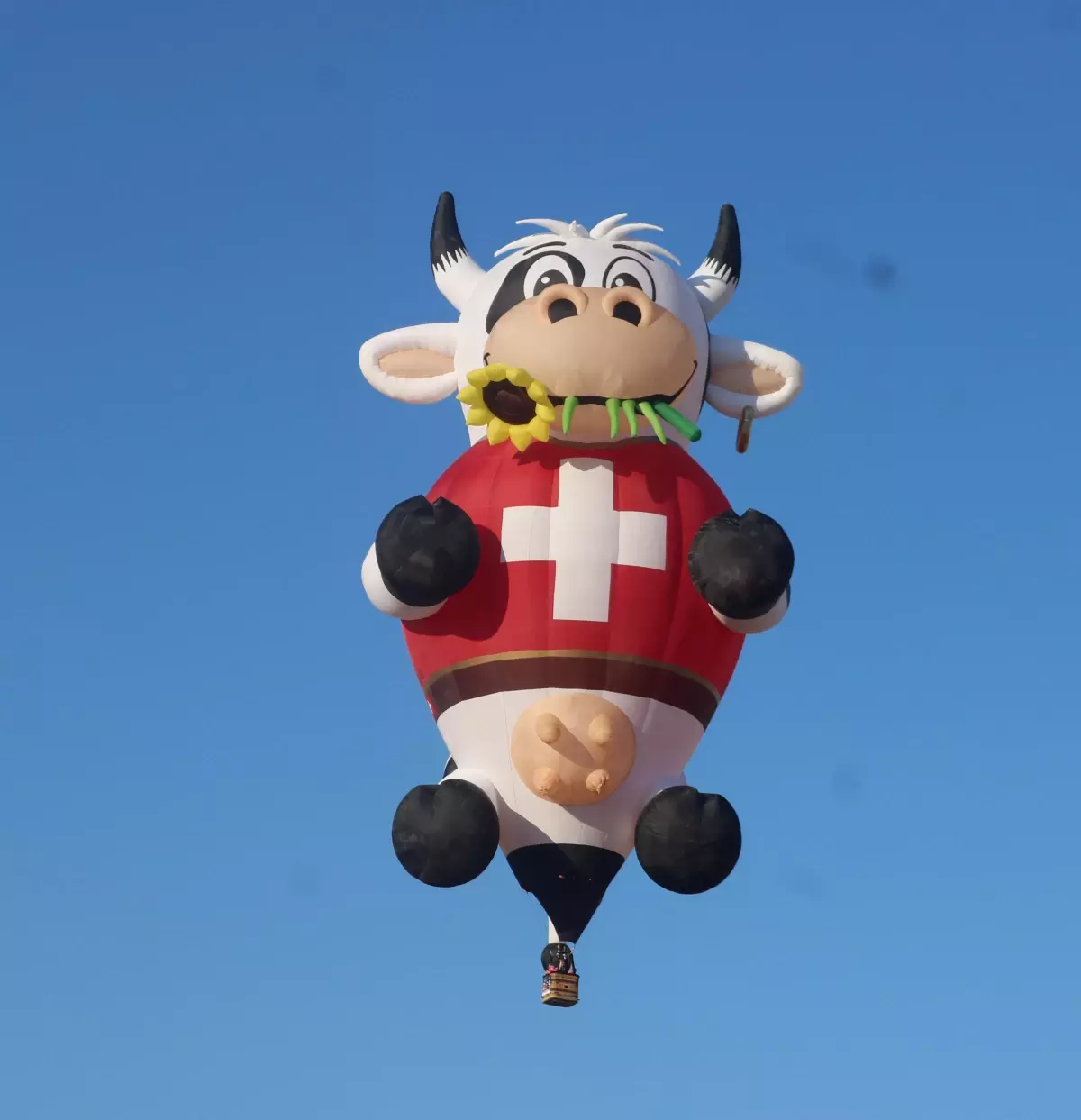 Kapadokya Balon ve Kültür Yolu Festivali'nde 35 farklı figürlü balon gökyüzünü renklendirdi