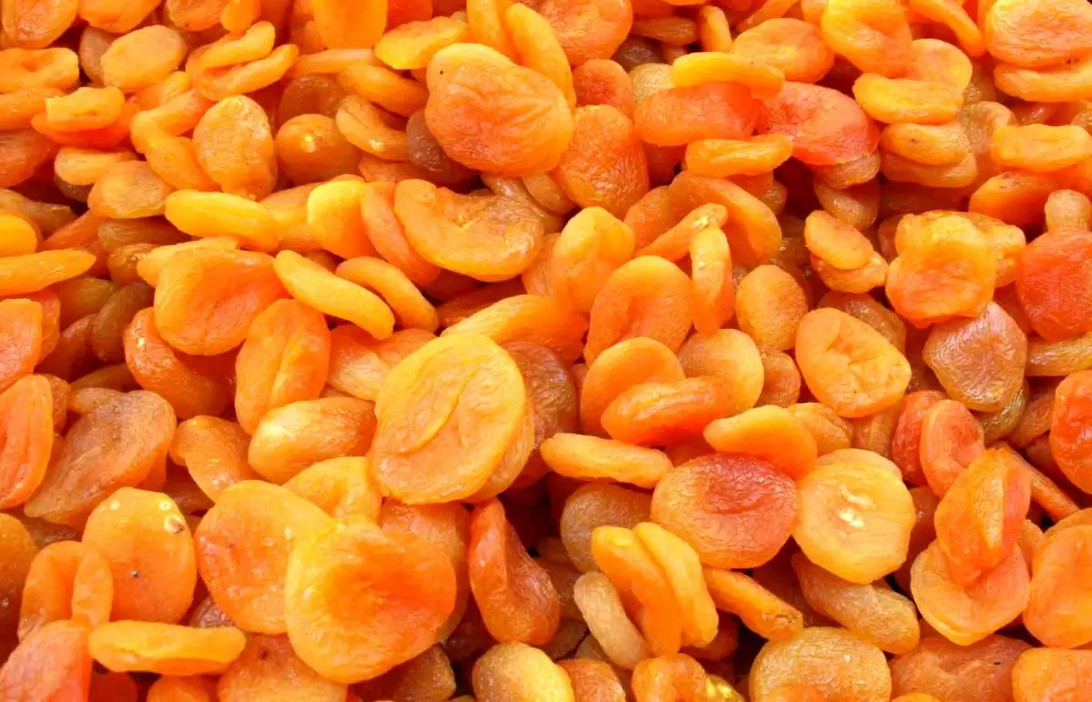 Türkiye Kuru Kayısı İhracatında Dünya Lideri