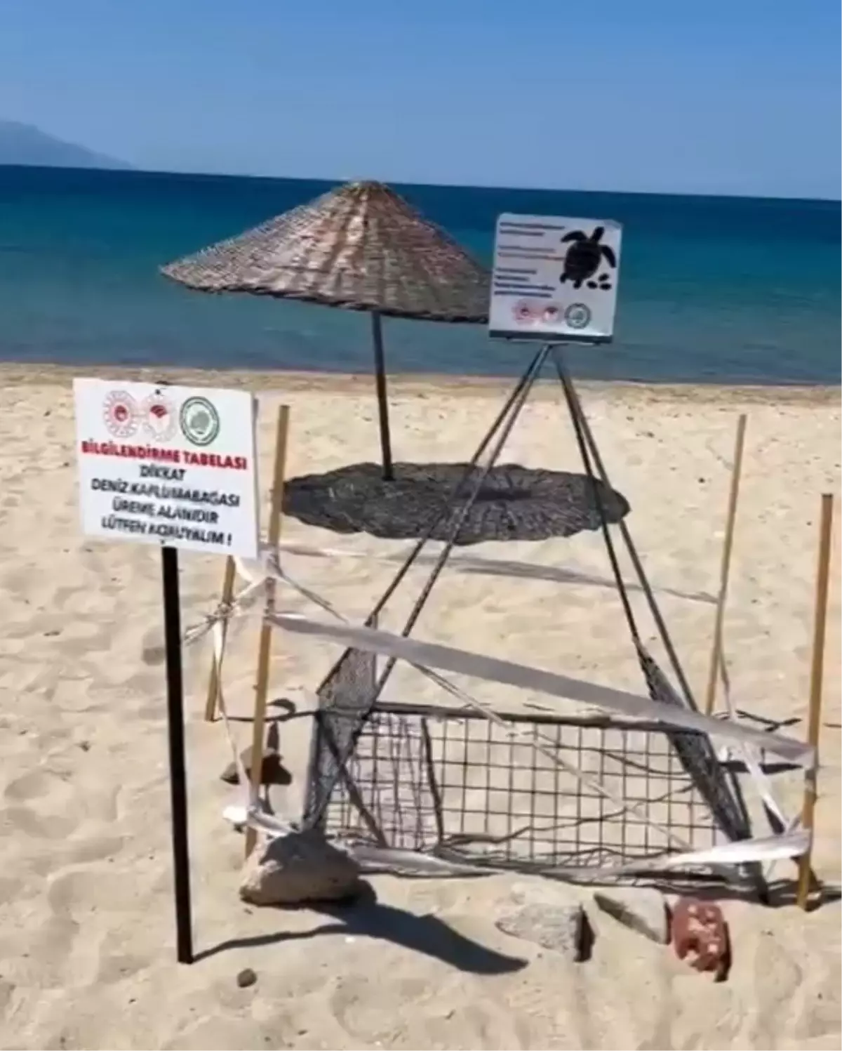 Enez'de Caretta Carettanın Yuvası Koruma Altına Alındı