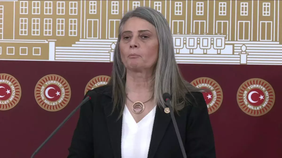 CHP Milletvekili Suiçmez, Karadeniz'deki maden sahalarının ihaleye çıkarılmasına tepki gösterdi