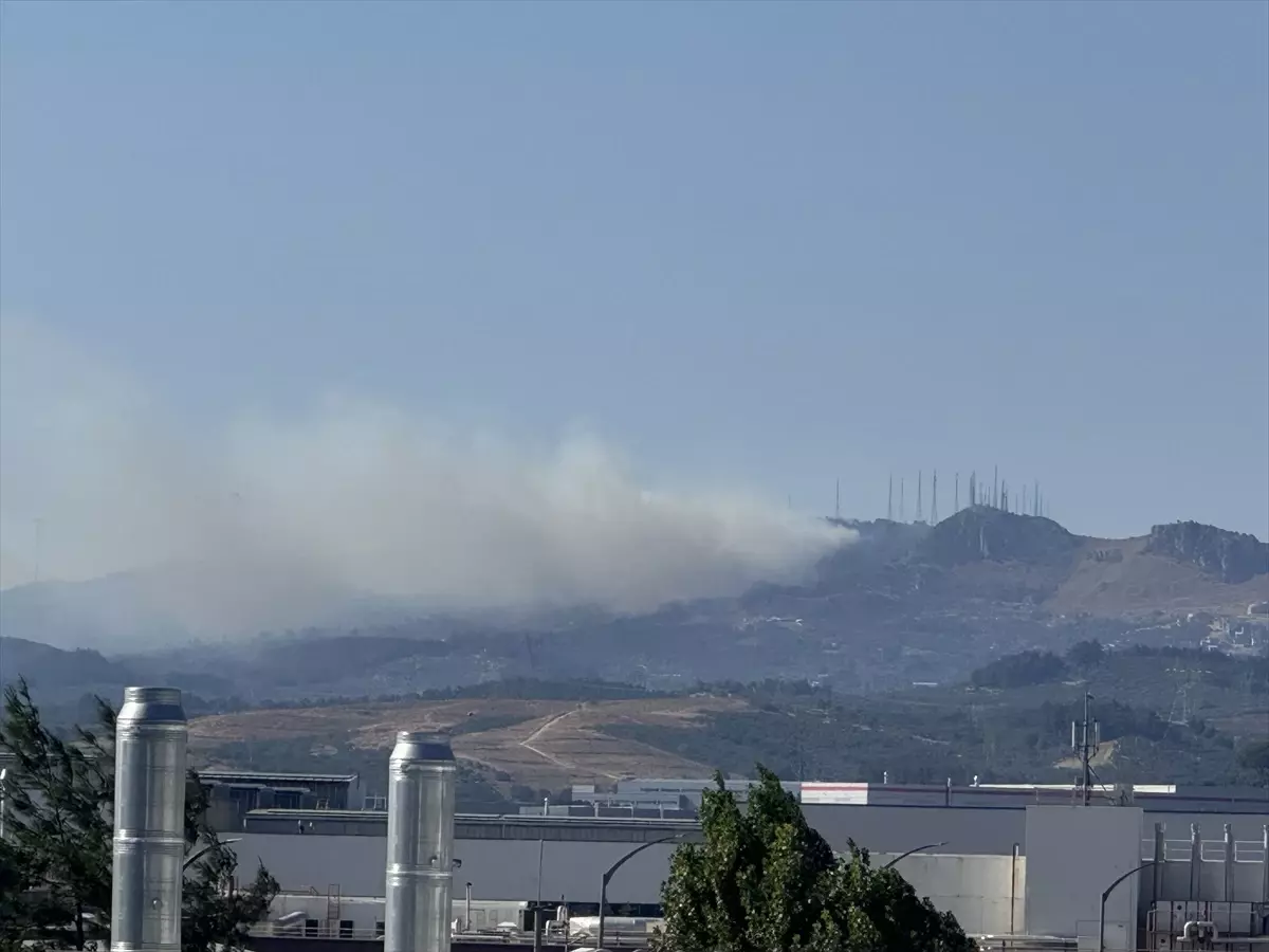 Bursa'da Ormanlık Alanda Yangın Kontrol Altına Alınmaya Çalışılıyor