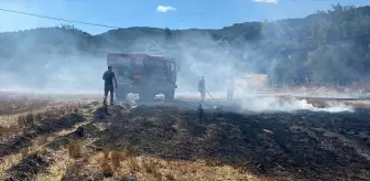 Çanakkale'de çıkan yangın ormana sıçramadan söndürüldü