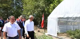 Edirne'de Sera Alanı Genişletme Projesi