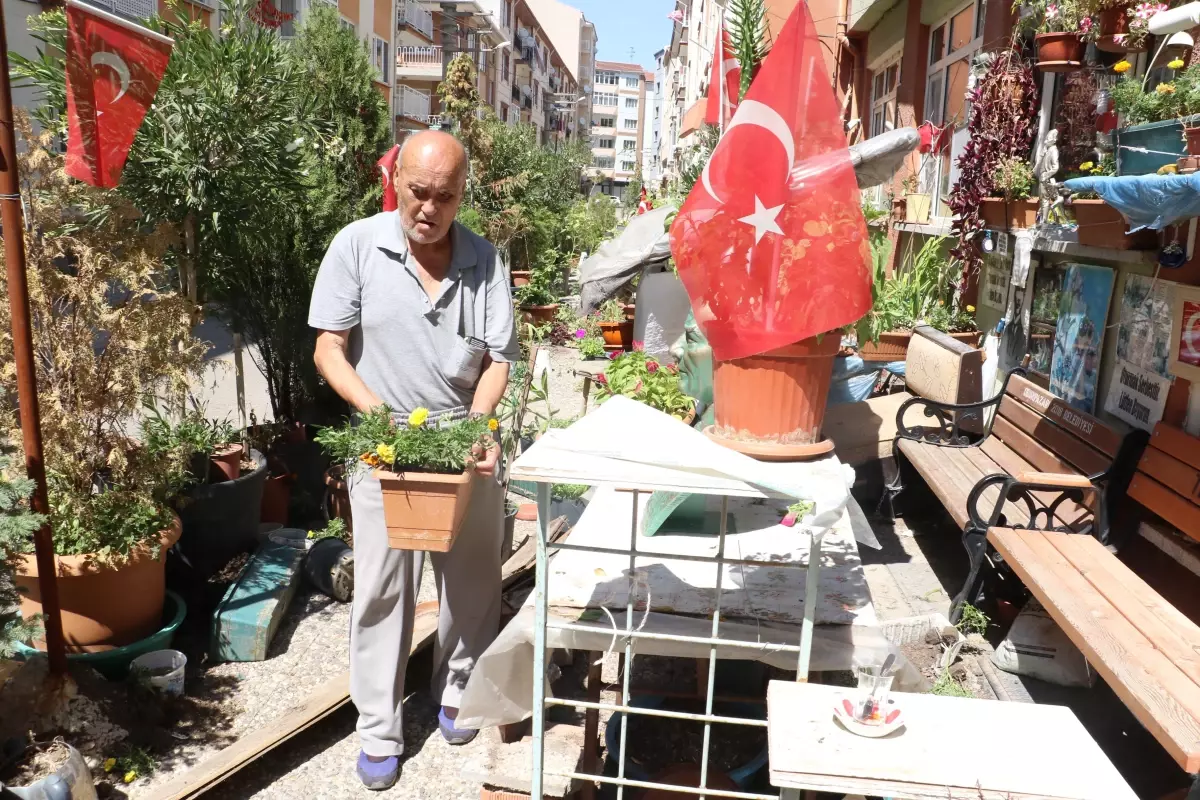 Felçli Kadının Kaldırım Bahçesi Komşusu Tarafından Dağıtıldı