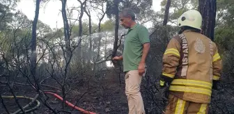 Heybeliada'da Ormanlık Alanda Çıkan Yangın Kontrol Altına Alındı