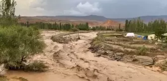 Kars'ın Kağızman ilçesinde sel nedeniyle meyve bahçelerine hasar