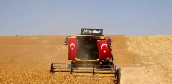 Halfeti'de Safir Bitkisiyle Kuraklığa Çözüm