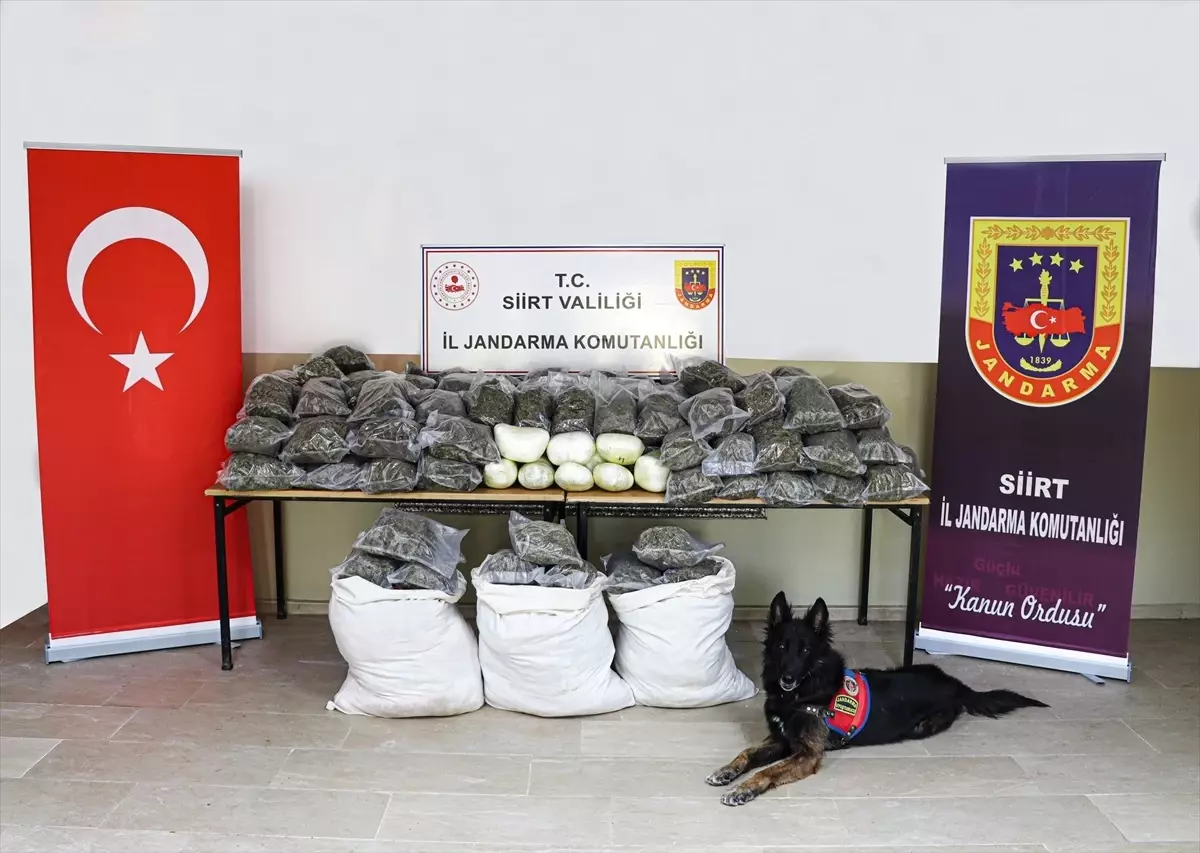 Siirt'te 170 Kilogram Esrar Ele Geçirildi, 3 Şüpheli Yakalandı