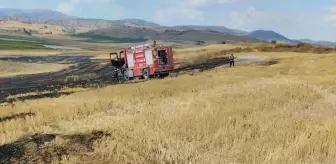 Tokat'ın Sulusaray ilçesinde anız yangını: 7 dönüm alan zarar gördü