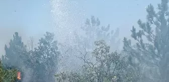 Yozgat'ın Çekerek ilçesinde ormanlık alanda yangın çıktı