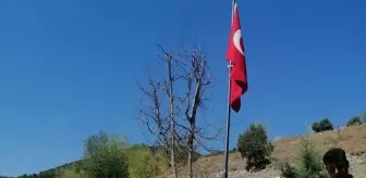 Tokat'ın Almus ilçesinde şehit mezarlarının temizlik ve bakımı yapıldı